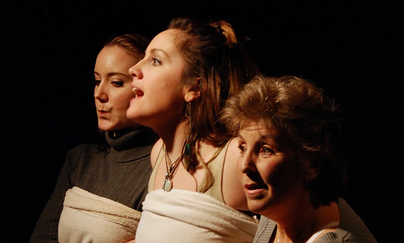 How I Learned To Drive - Directed by John Vreeke - Stone Soup Theatre - Photograph by Armen Stein